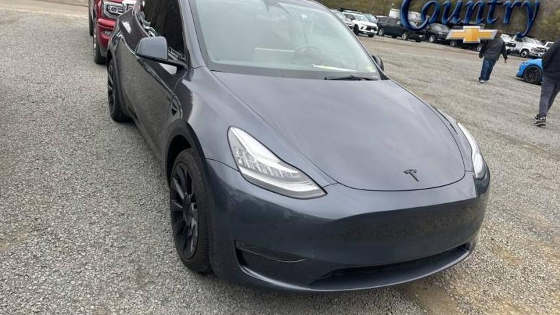 TESLA MODEL Y 2023 7SAYGDEE7PA044664 image